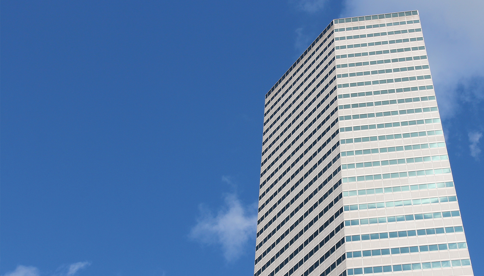 Company Information
